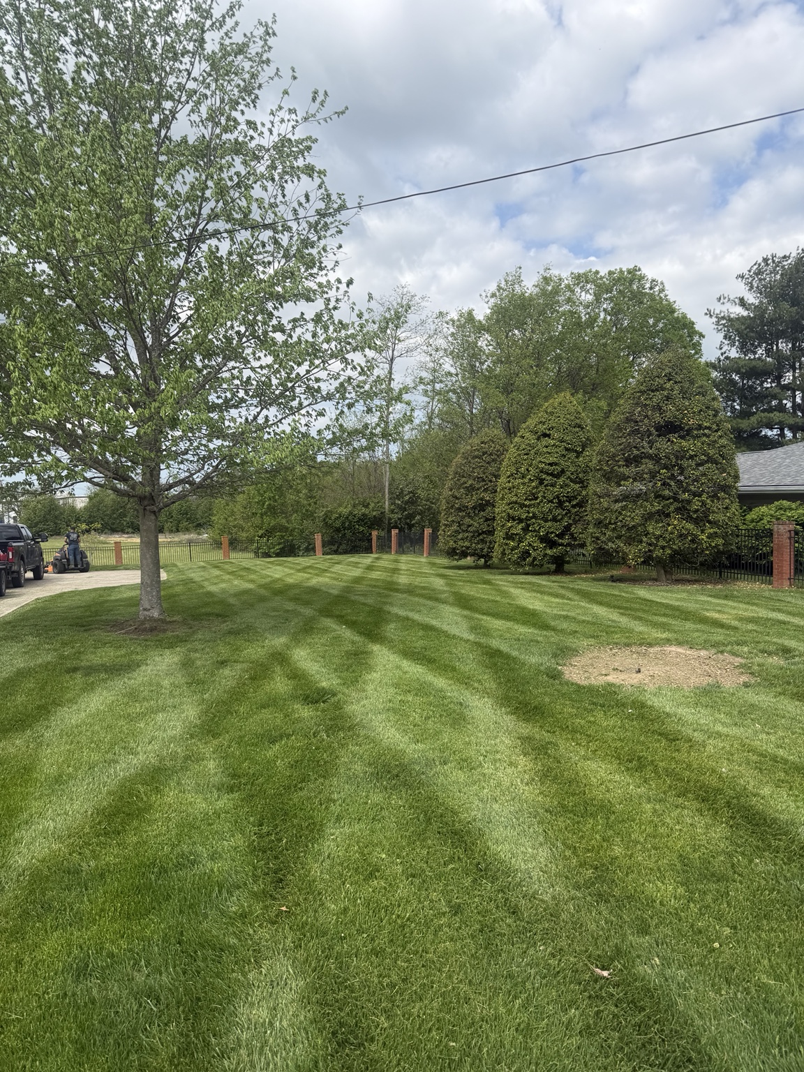 Fresh mowing stripes on a lawn cared for by Elite Cuts