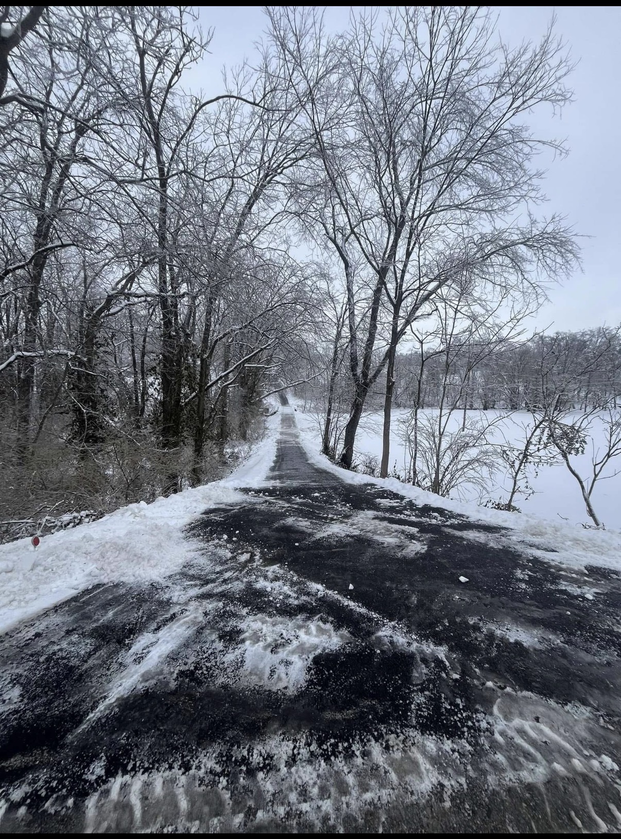 Long wooded driveway with snow pushed to the sides